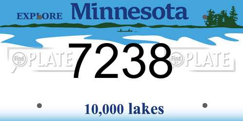7238 Minnesota License Plate