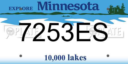 7253ES Minnesota License Plate