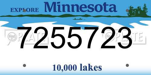 7255723 Minnesota License Plate