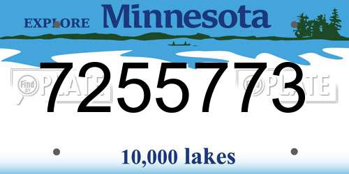 7255773 Minnesota License Plate