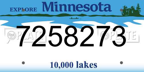 7258273 Minnesota License Plate