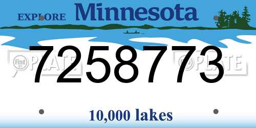 7258773 Minnesota License Plate