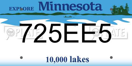 725EE5 Minnesota License Plate