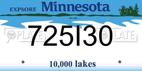 725I30 Minnesota License Plate