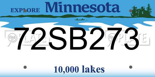 72SB273 Minnesota License Plate