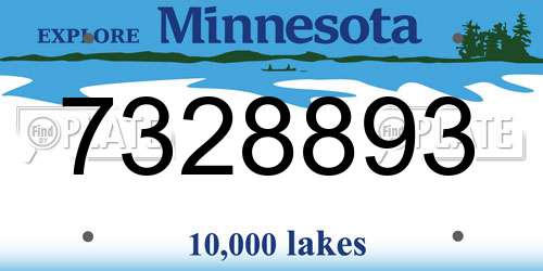 7328893 Minnesota License Plate