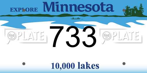 733 Minnesota License Plate