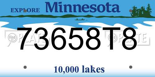 73658T8 Minnesota License Plate
