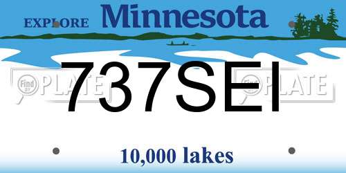 737SEI Minnesota License Plate