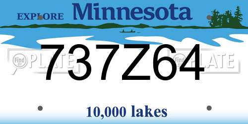 737Z64 Minnesota License Plate