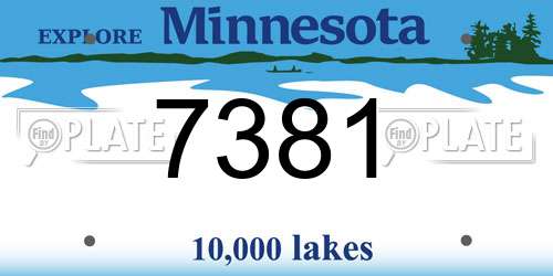 7381 Minnesota License Plate