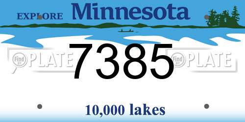7385 Minnesota License Plate