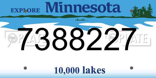 7388227 Minnesota License Plate