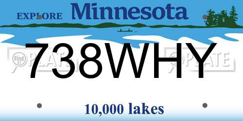 738WHY Minnesota License Plate