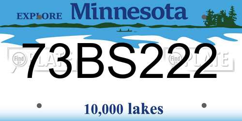 73BS222 Minnesota License Plate
