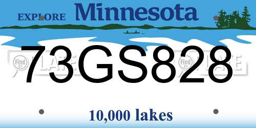73GS828 Minnesota License Plate