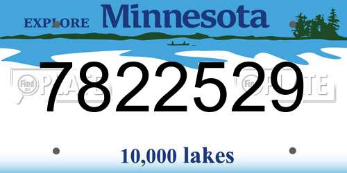 7822529 Minnesota License Plate