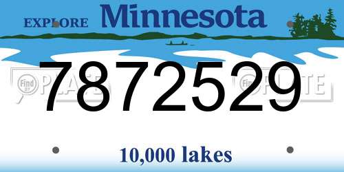 7872529 Minnesota License Plate