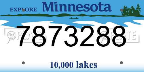 7873288 Minnesota License Plate
