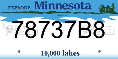 78737B8 Minnesota License Plate