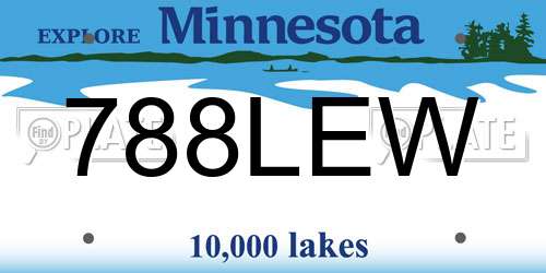 788LEW Minnesota License Plate
