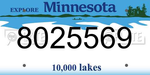 8025569 Minnesota License Plate