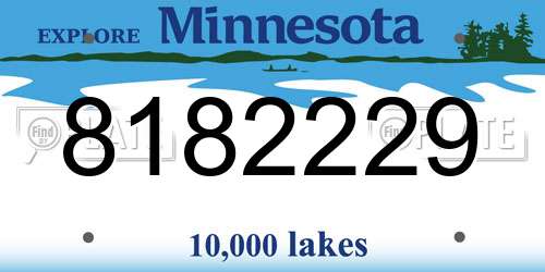8182229 Minnesota License Plate
