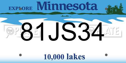 81JS34 Minnesota License Plate