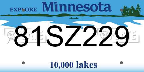 81SZ229 Minnesota License Plate