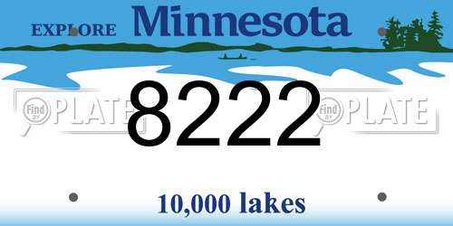 8222 Minnesota License Plate