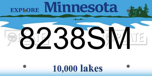 8238SM Minnesota License Plate