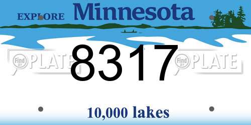 8317 Minnesota License Plate