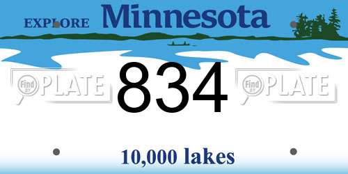 834 Minnesota License Plate
