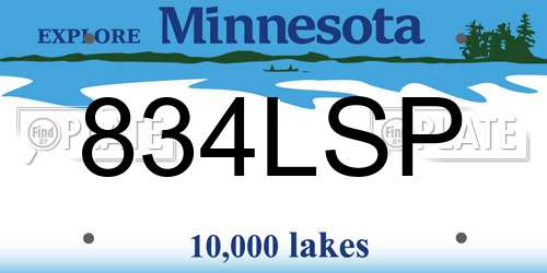 834LSP Minnesota License Plate