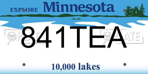 841TEA Minnesota License Plate