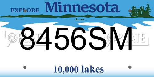 8456SM Minnesota License Plate