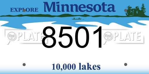 8501 Minnesota License Plate