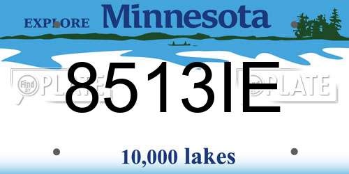 8513IE Minnesota License Plate
