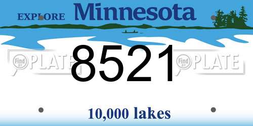 8521 Minnesota License Plate