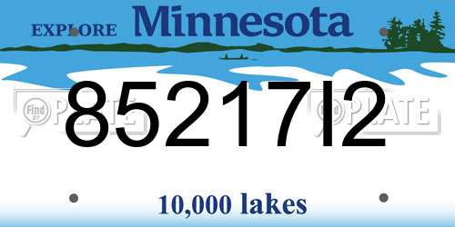 85217I2 Minnesota License Plate