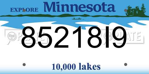85218I9 Minnesota License Plate