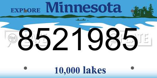 8521985 Minnesota License Plate