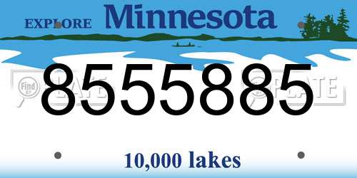8555885 Minnesota License Plate