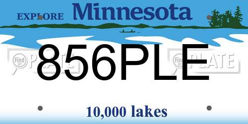 856PLE Minnesota License Plate