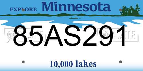85AS291 Minnesota License Plate