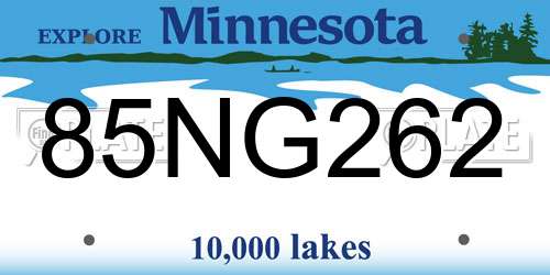 85NG262 Minnesota License Plate