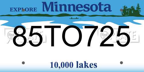 85TO725 Minnesota License Plate