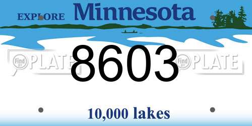 8603 Minnesota License Plate