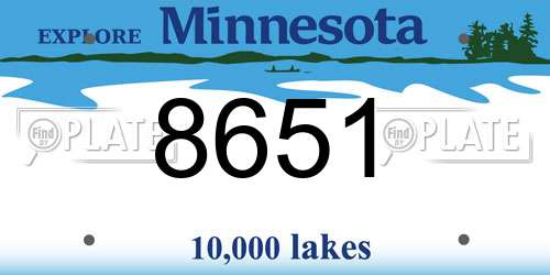 8651 Minnesota License Plate