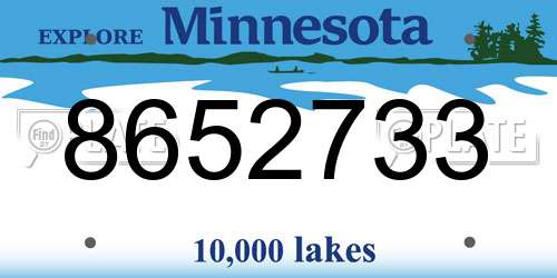 8652733 Minnesota License Plate